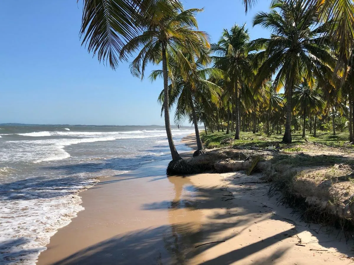 Apartamento Barra De Jangada Vista Mar Lejlighed Recife