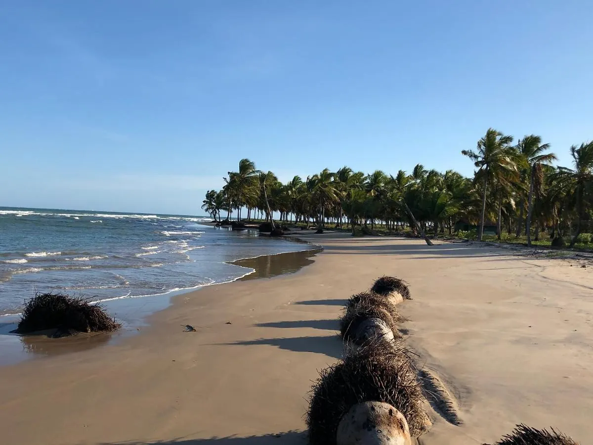 Apartamento Barra De Jangada Vista Mar Lejlighed Recife